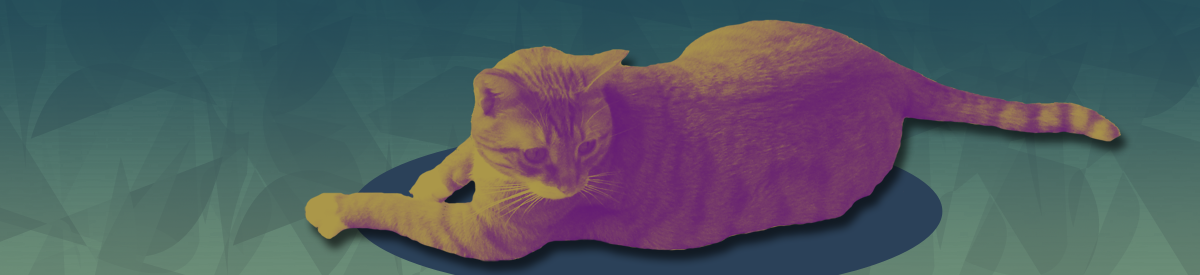 Jupiter the cat