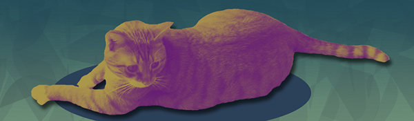 Jupiter the cat