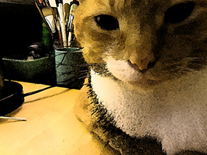 cat
